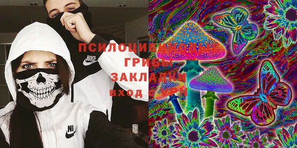 соль курить ск Алзамай