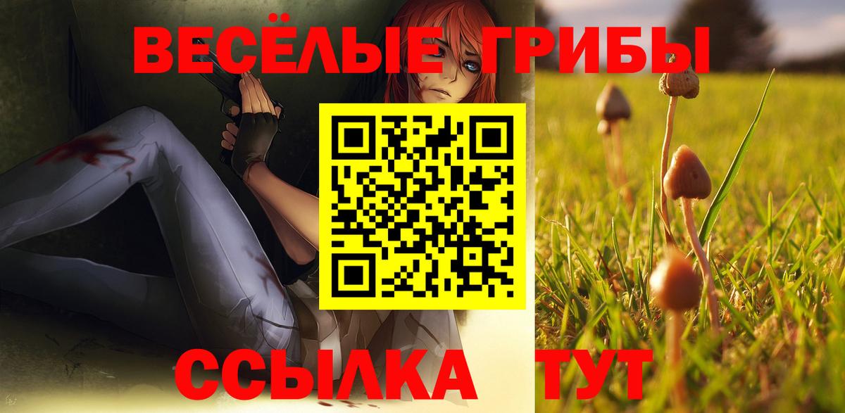 Псилоцибиновые грибы Cubensis Лениногорск